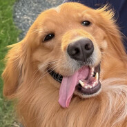 デスウィスパー ʕᴥ· ʔ