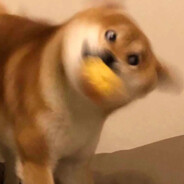 读我呼吸变手动挡