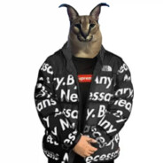 ✪J4s0n - steam id 76561198874694091