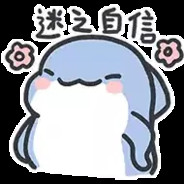 小鲨停止了思考