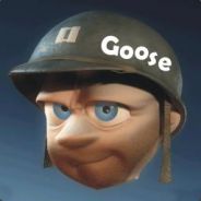 Goose - steam id 76561197960740291