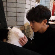 不过是些许风霜罢了