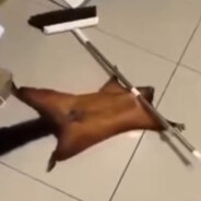 Дурилкa Картоннaя