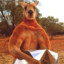 boxing kangaroo