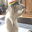 Rasta Rat
