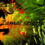 :::ZAMAL:::