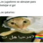 elsilvaboe