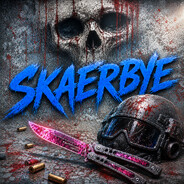 『 Skaerbye 』