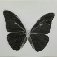 打败Danking成为亚一狙