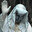 SEE7