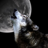 Wolfe Moon