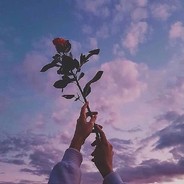 人生若只如初见