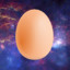 Egg in Space