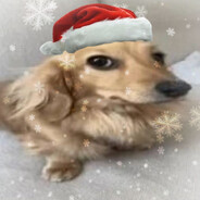 bombach - steam id 76561199241829960