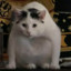 ^MeoW^