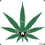 Cannabis-lieferservice