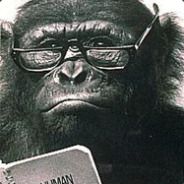 ProfessorChimp