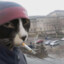 wee smoker cat