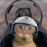 神经末梢流晚期の雨林