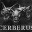 Cerberus