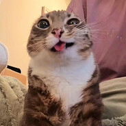 LynX