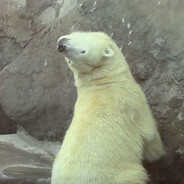 megabonk