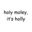 holymoleyholly