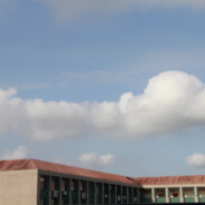 大笨蛋啦啦啦啦