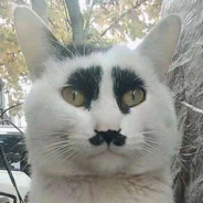 既然拉不住她的手  那就拉个大电