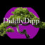 DiddlyDipp