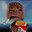 roamerwanderer avatar
