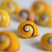 CrystalSerpent7827