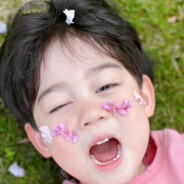 是书书不是猪猪