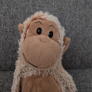Munkey
