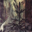 Mahmujo