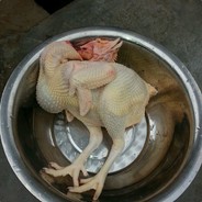 下棋三年半的铁科比