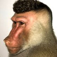 2-3 years in Spermastun