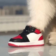 攒钱给大东丰胸