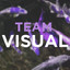 Team Visual