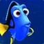 Finding Dory