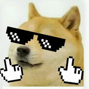 风儿真他妈的喧嚣