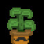 hemp