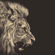 愛 Sasuke Uchiha 愛