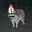 Racoon