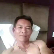 宝宝巴士萌新来