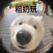 阿郁喜欢郁金香