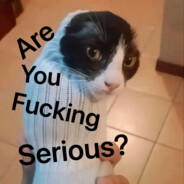 38岁丰满黑丝丽人