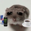 pinoplast