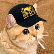 у меня лапки