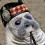 The Scottish Sealman